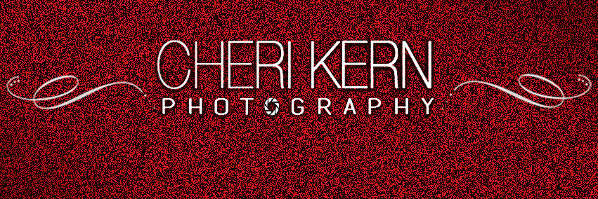 ORockGirl's profile banner image