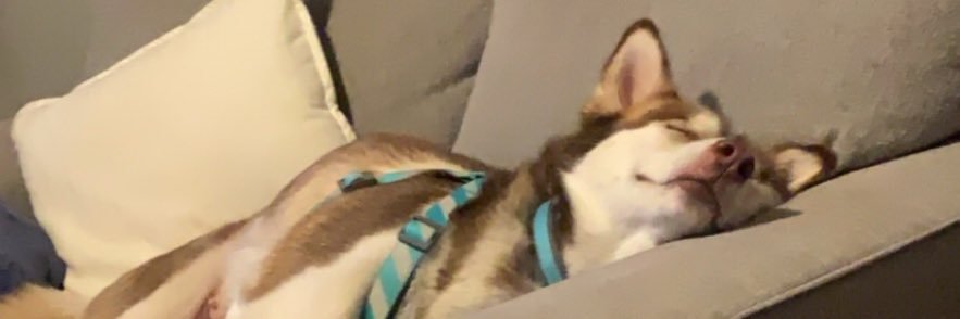 victoriousjane_'s profile banner image