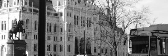 Rafa (Fika) Gallart banner