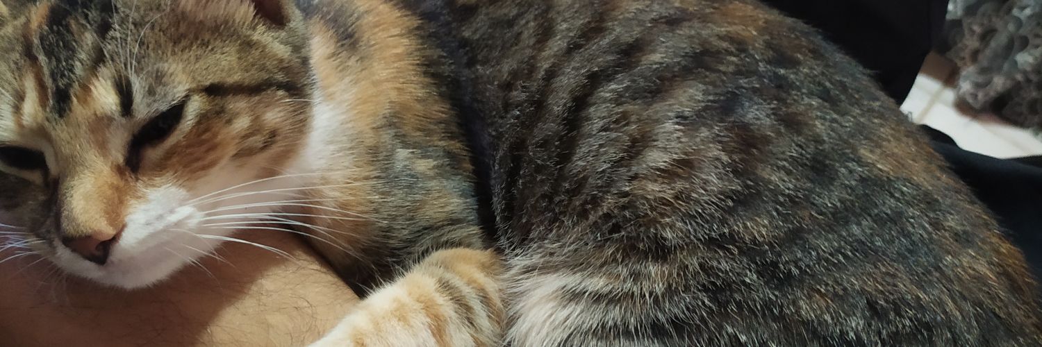 AlexissOjeda's profile banner image