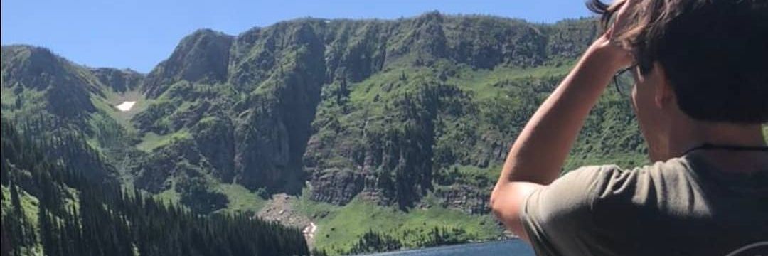 Handhelds & Pickleball banner