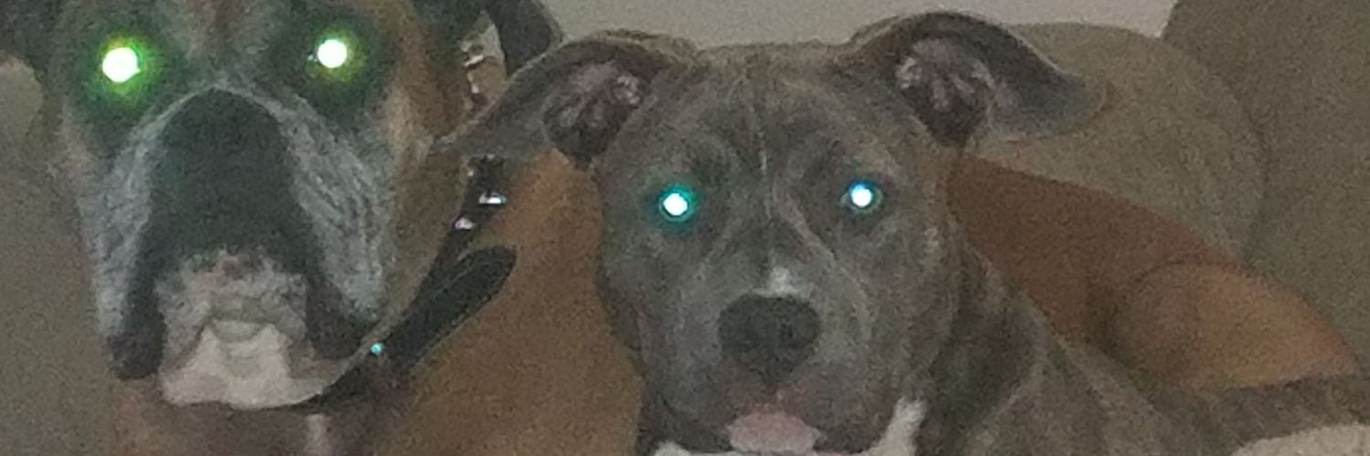 GabeAlbright68's profile banner image