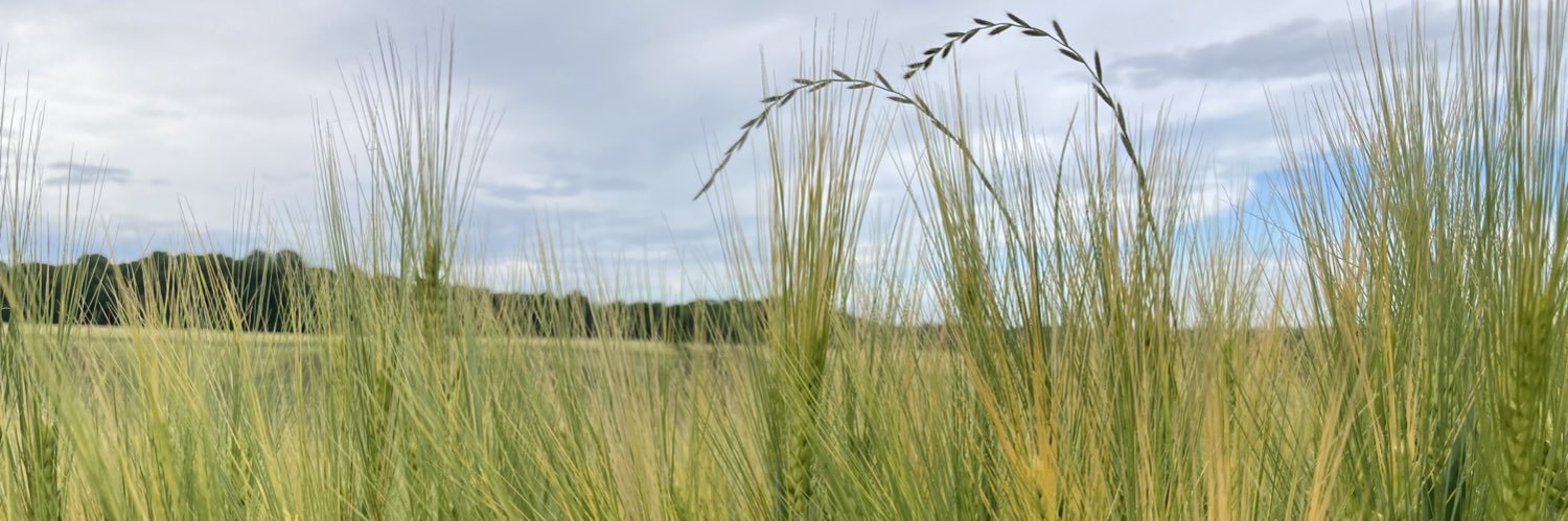 Amy Prezelski banner