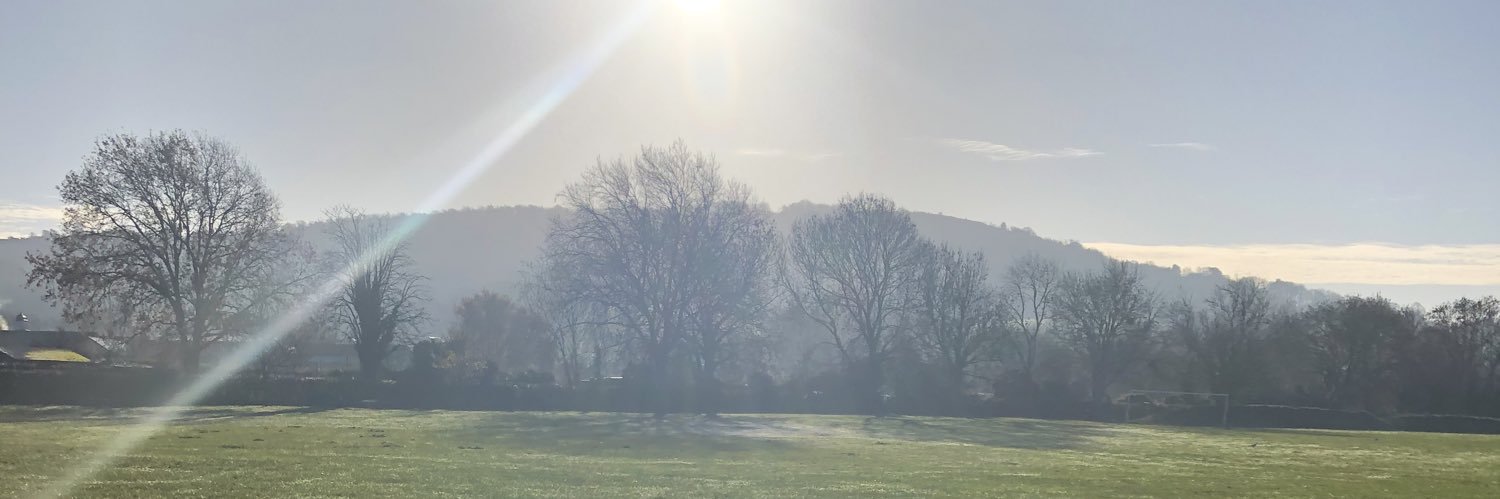 shellylewy's profile banner image