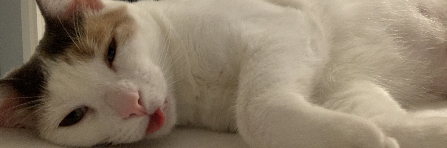 beebsmiho's profile banner image