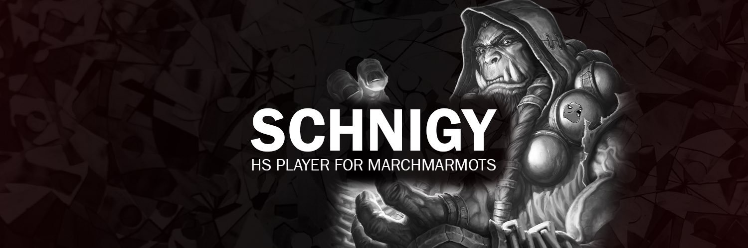 schnigy's profile banner image