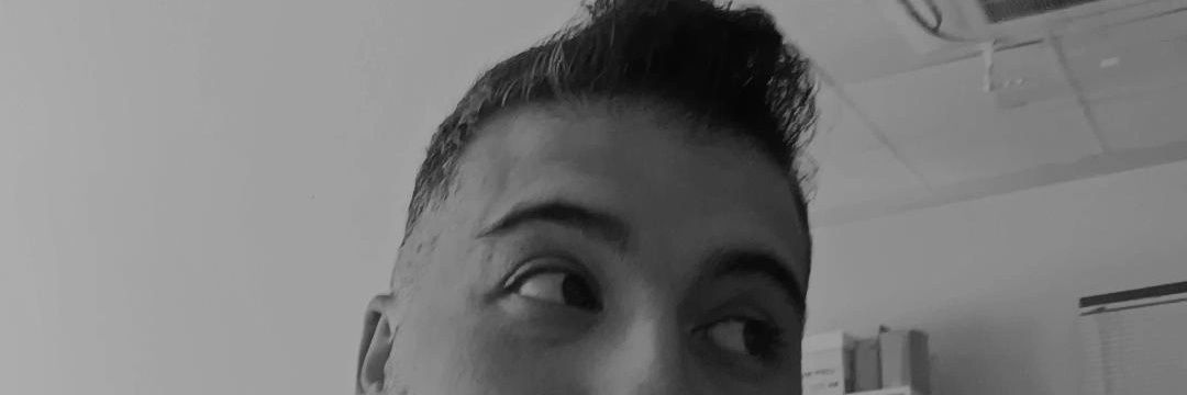 stark_bey's profile banner image