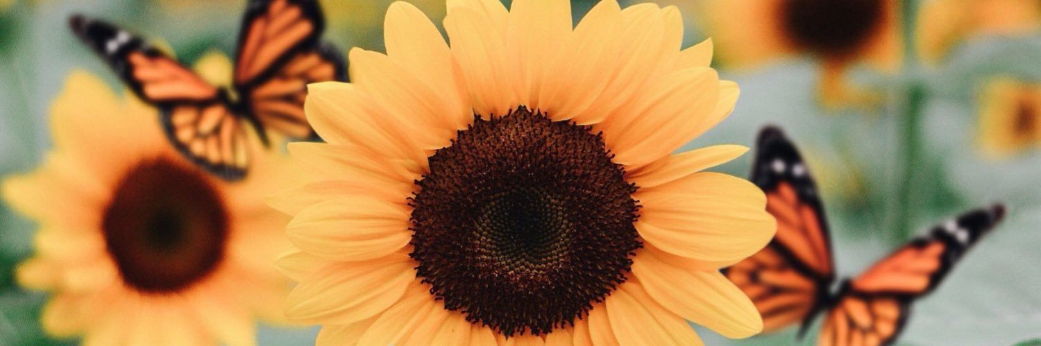 Simply_kayla7's profile banner image