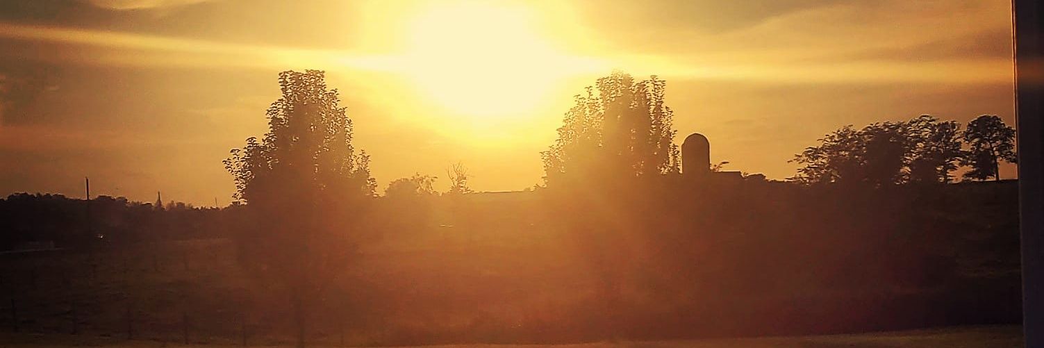 Kronickolas's profile banner image
