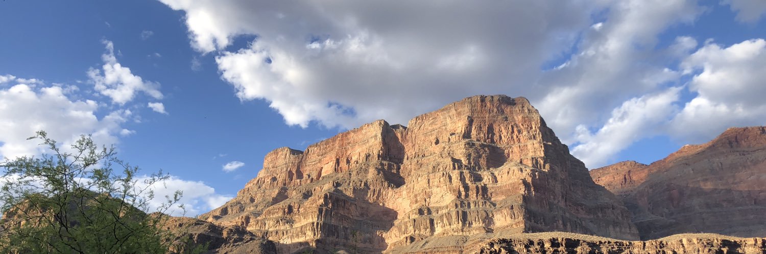 westical's profile banner image
