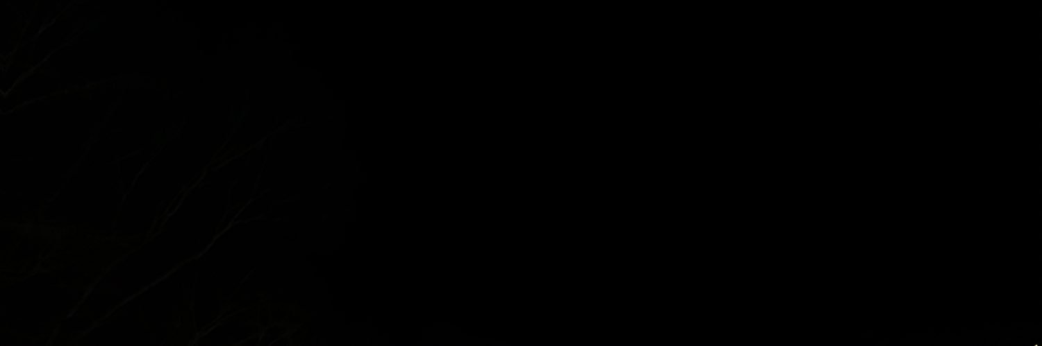 hbcweisz's profile banner image