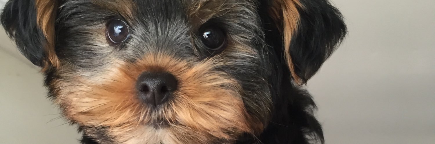 Manny_r20's profile banner image