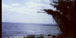 AllahwinAbdalla's profile banner image
