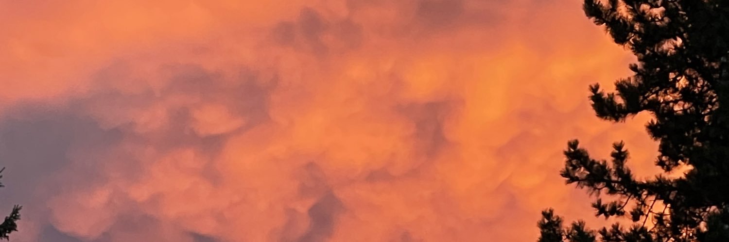 alliepomeroy's profile banner image