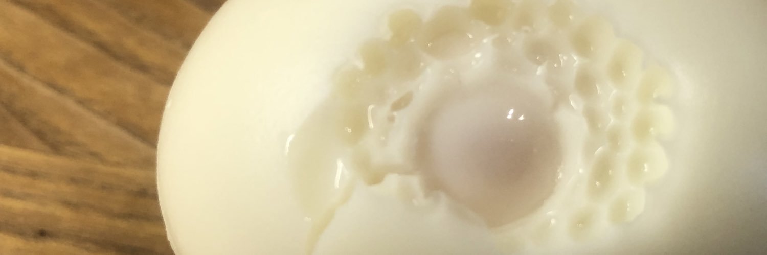 kompostierbar's profile banner image