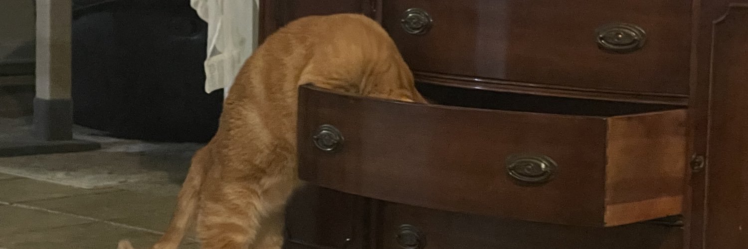 regularrileigh's profile banner image