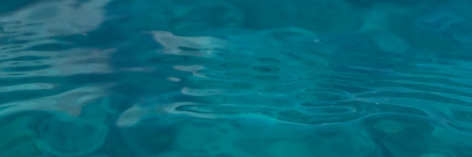 ryleaanne's profile banner image