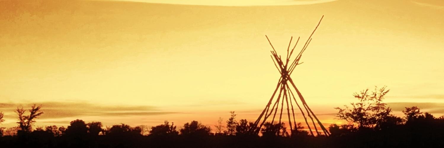 nalmaca's profile banner image
