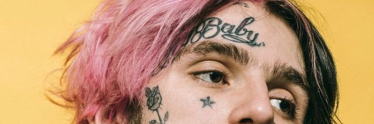 SerekDchultz's profile banner image