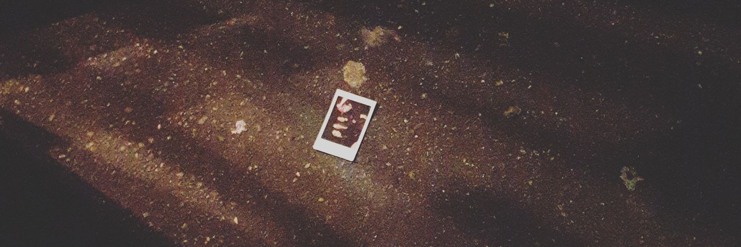 darkcandyc's profile banner image
