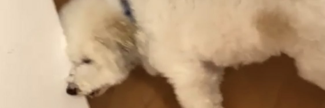 JackiesBoring's profile banner image