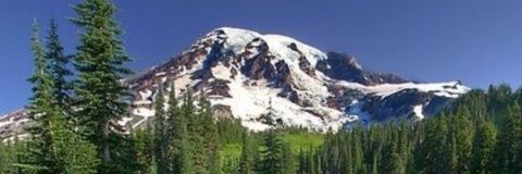 CesMorett's profile banner image