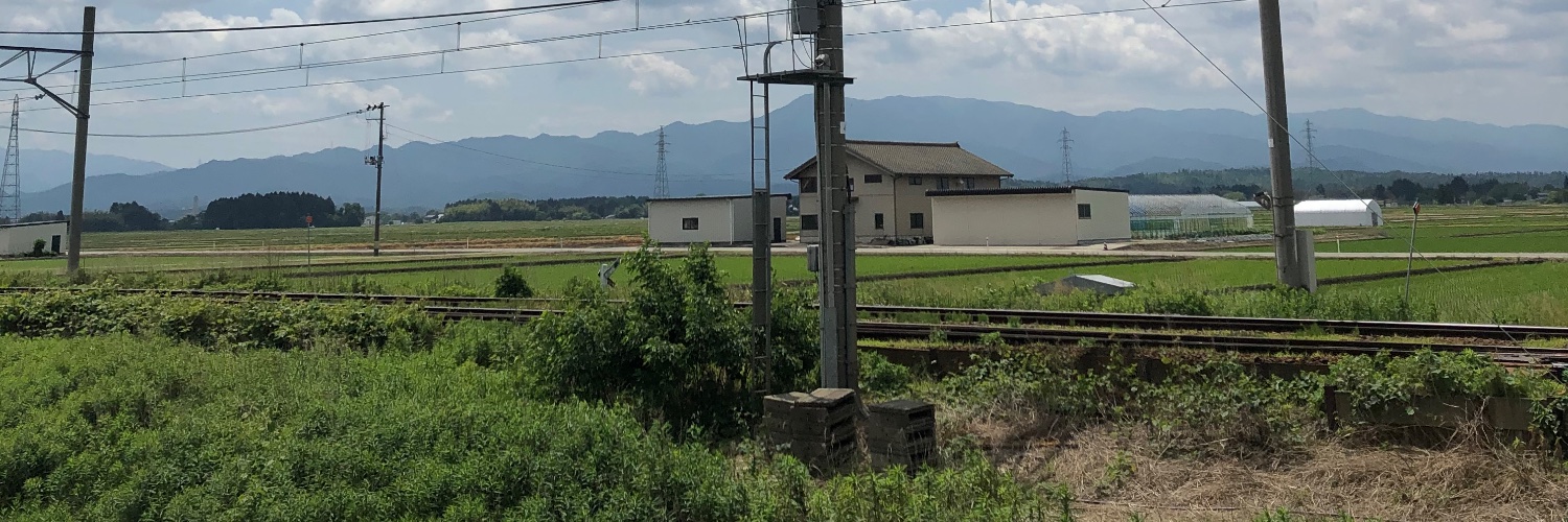 pachi_utu's profile banner image