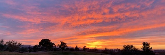 TrevorACourtney's profile banner image