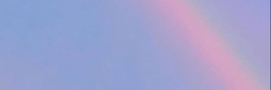 lizastotle's profile banner image