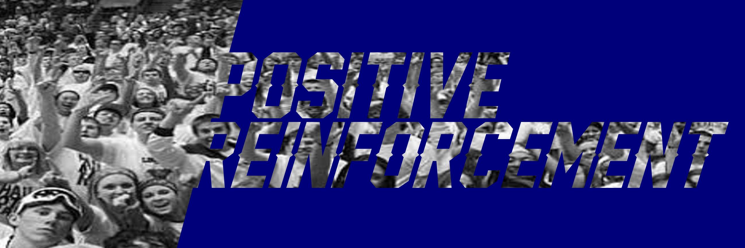 PReinforcement's profile banner image