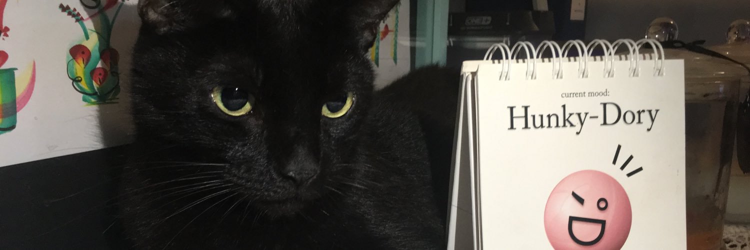 Gina_turtle's profile banner image