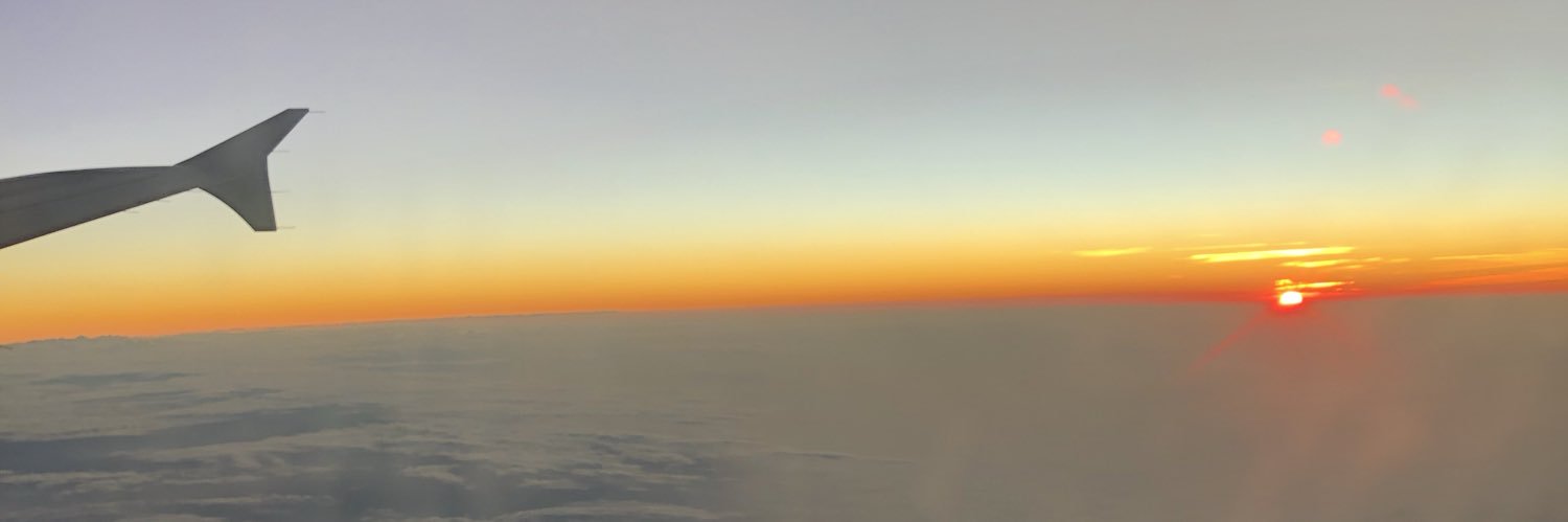 toronaned26's profile banner image