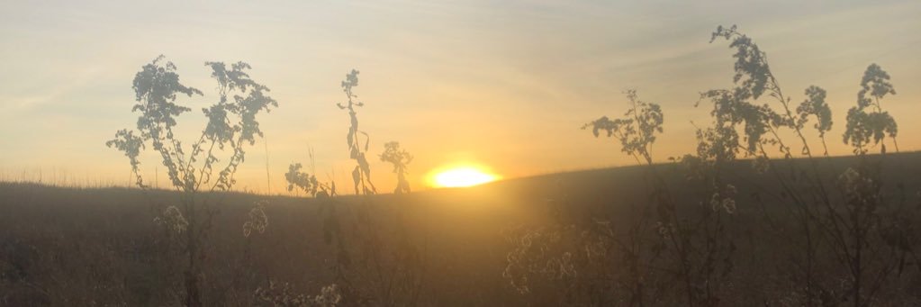 davebendix's profile banner image