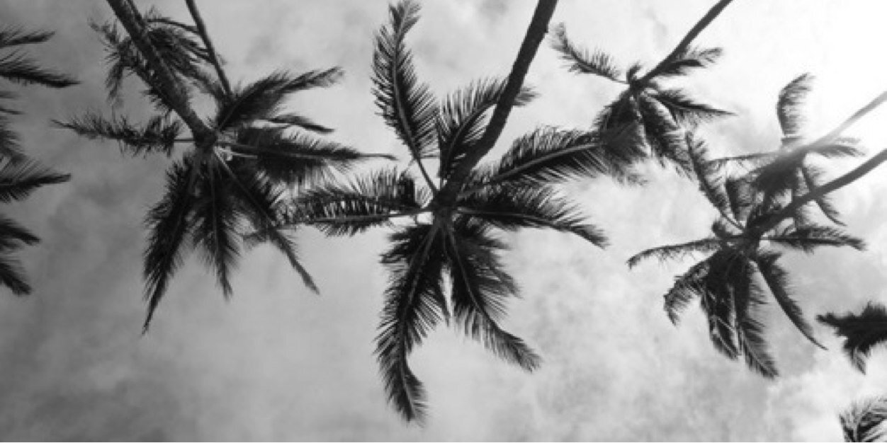 SashaRPGTTS2's profile banner image
