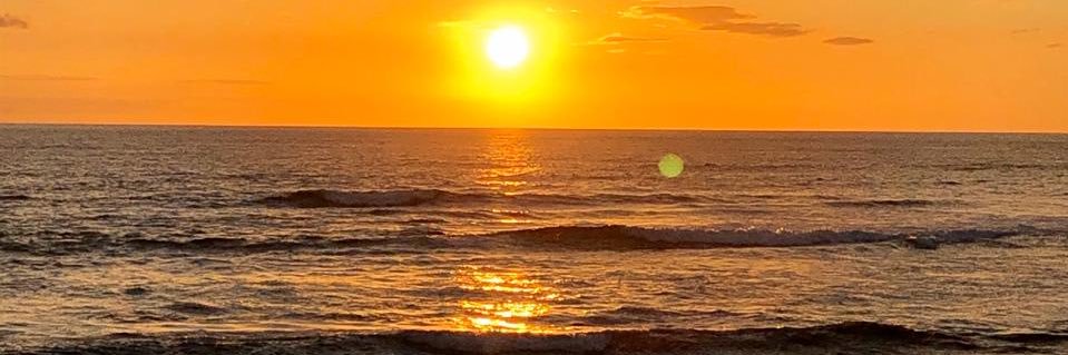 Alejandro Cordero banner