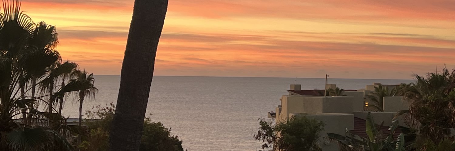 Krysta Denner banner
