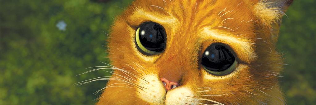 phftttt's profile banner image