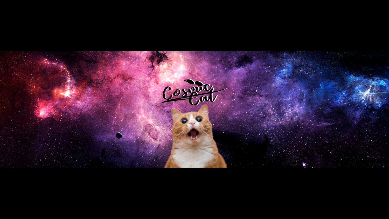 Cosmic Cat banner