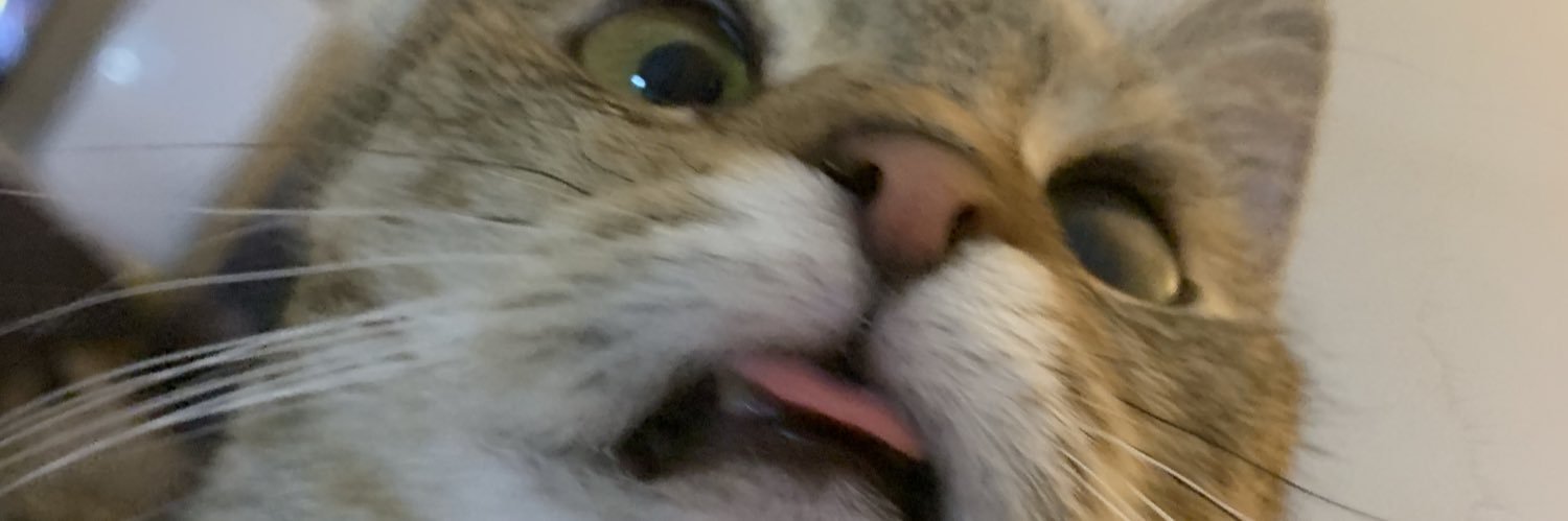 _vnxmi_'s profile banner image