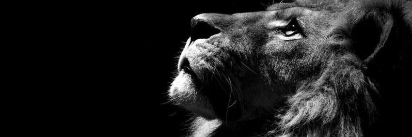 DnL_Montes's profile banner image