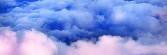 SoffnerCaroline's profile banner image
