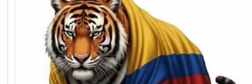 horapanto's profile banner image