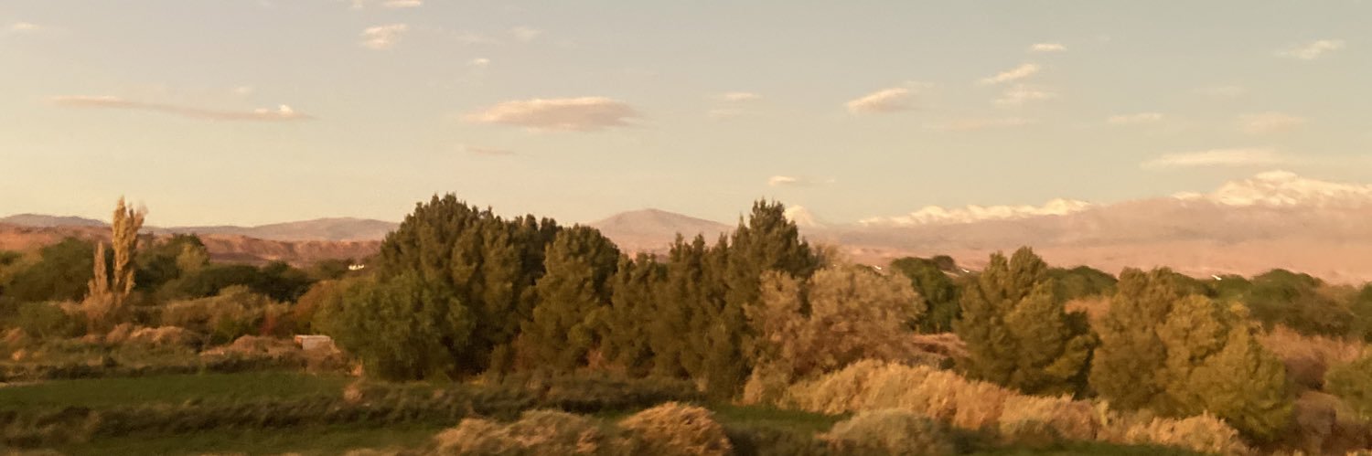 DpntMarie's profile banner image