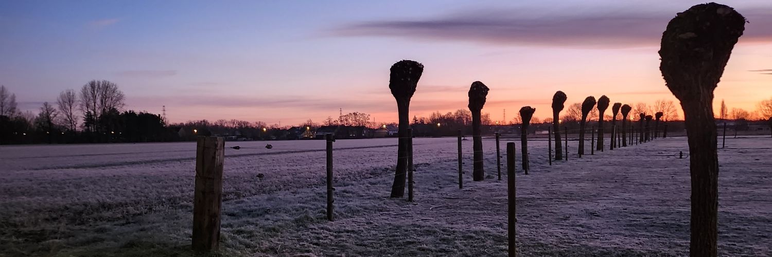 Griet Tobback banner