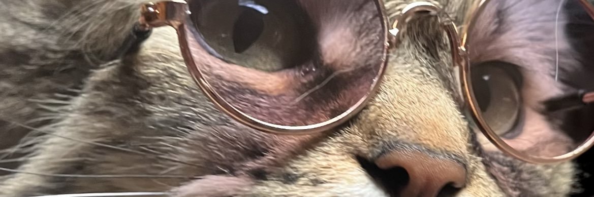 Pedri__'s profile banner image