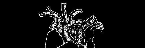 luscacarv's profile banner image