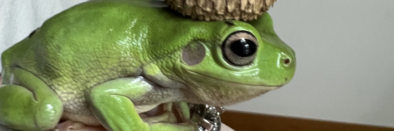 mikespoppinn's profile banner image