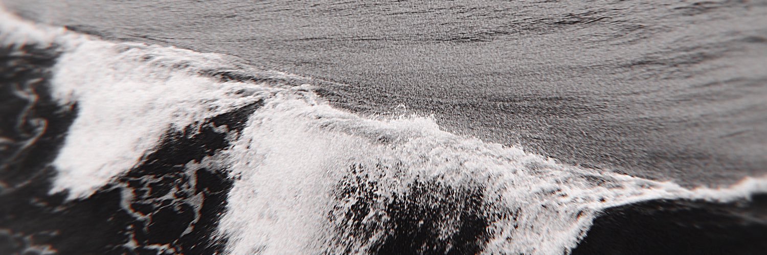Maria Vicente banner