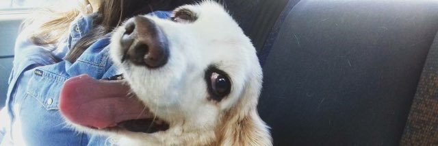MichMezaG's profile banner image