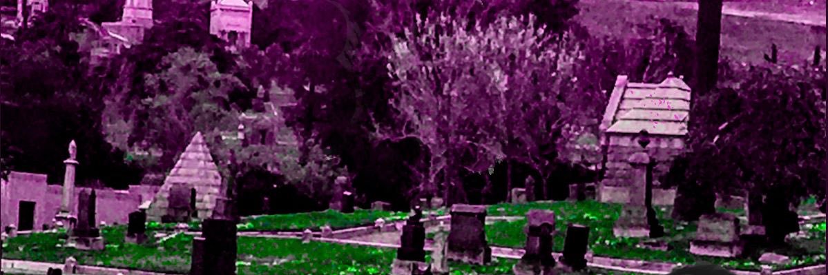 teenynymph's profile banner image